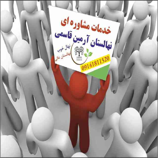 نهال گردو کاما پیوندی 